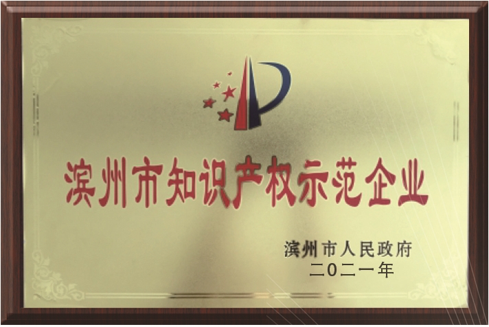 知识产权示范企业